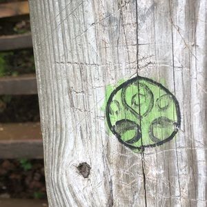 Meet your Posher, Korynne